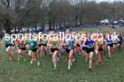 Womens Under-20s 2026 UK CAU Inter Counties Cross Country, Wollaton Park, Nottingham. Photo: David T. Hewitson/Sports for All Pics
